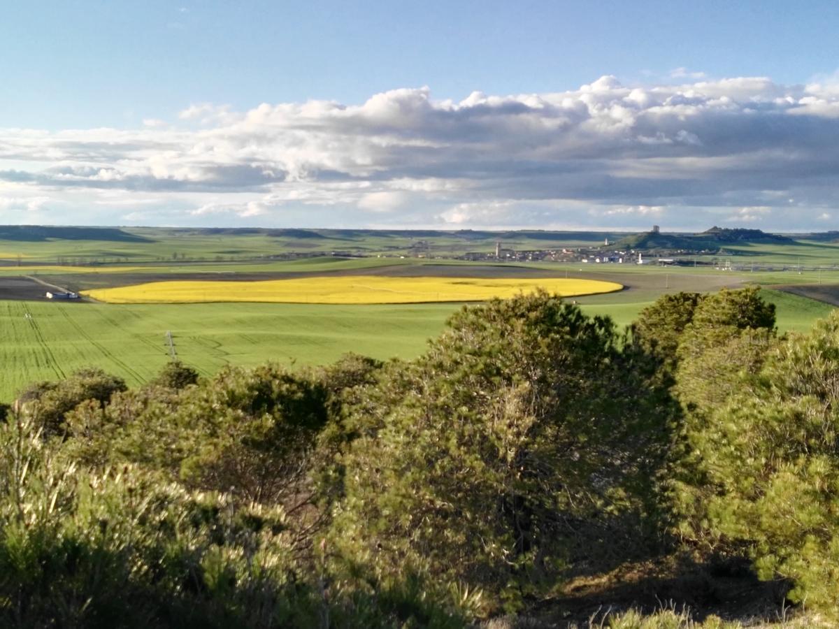 La Aldea Colorada Casa Rural Mota del Marqués Eksteriør billede