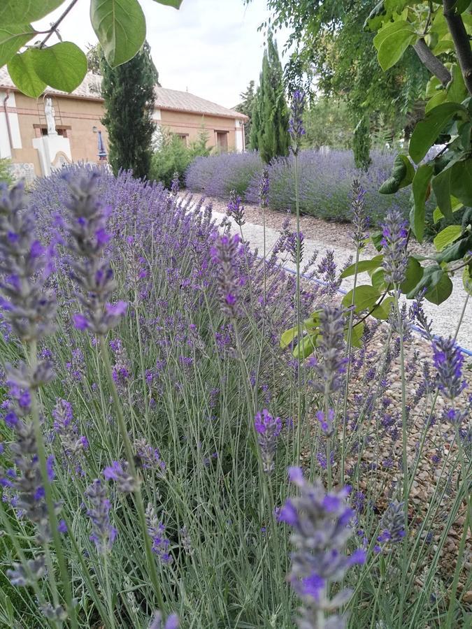 La Aldea Colorada Casa Rural Mota del Marqués Eksteriør billede